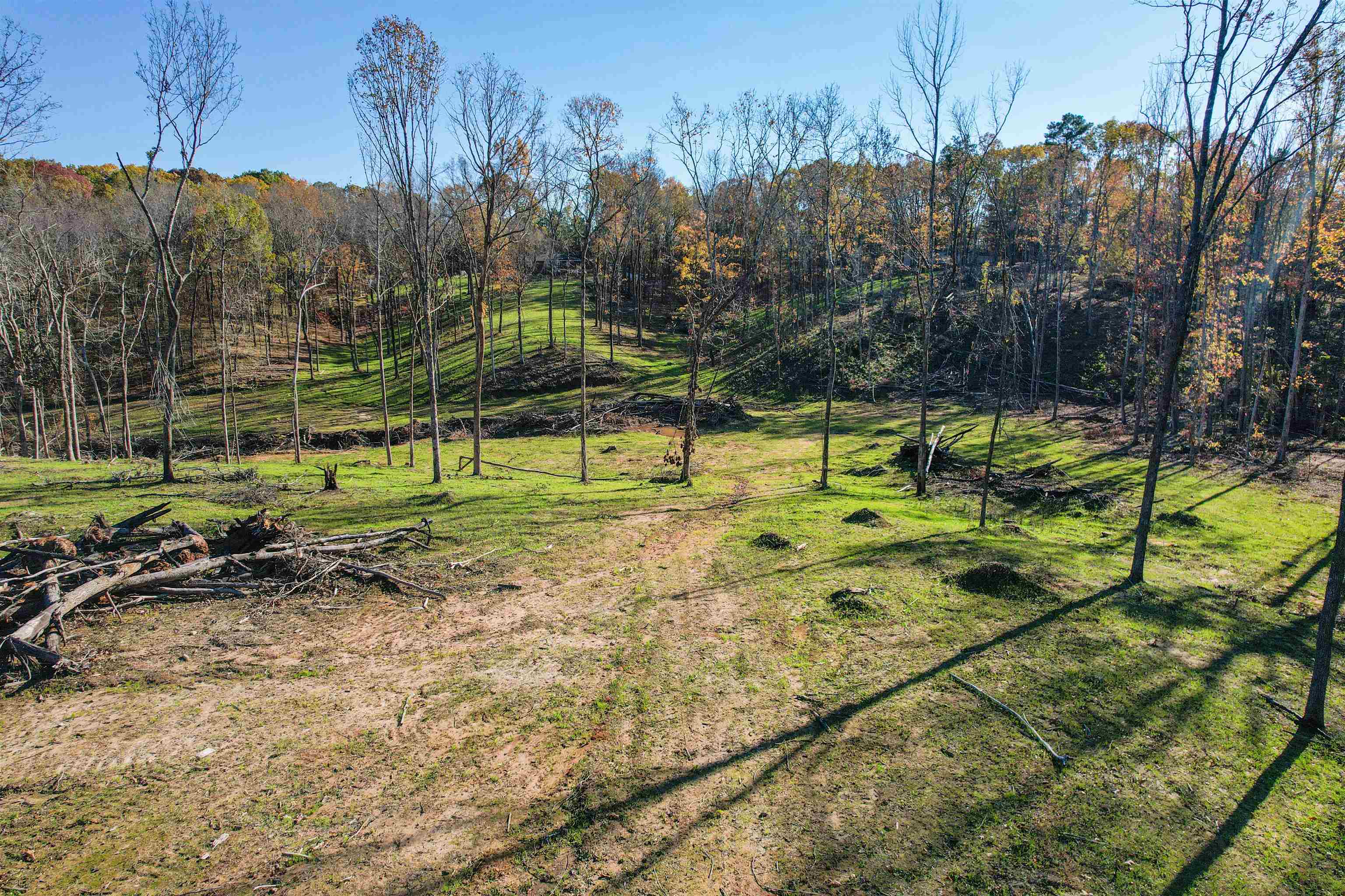 1315 Bishop Road Middleton, TN 38052 - Photo 23 of 31 View of yard