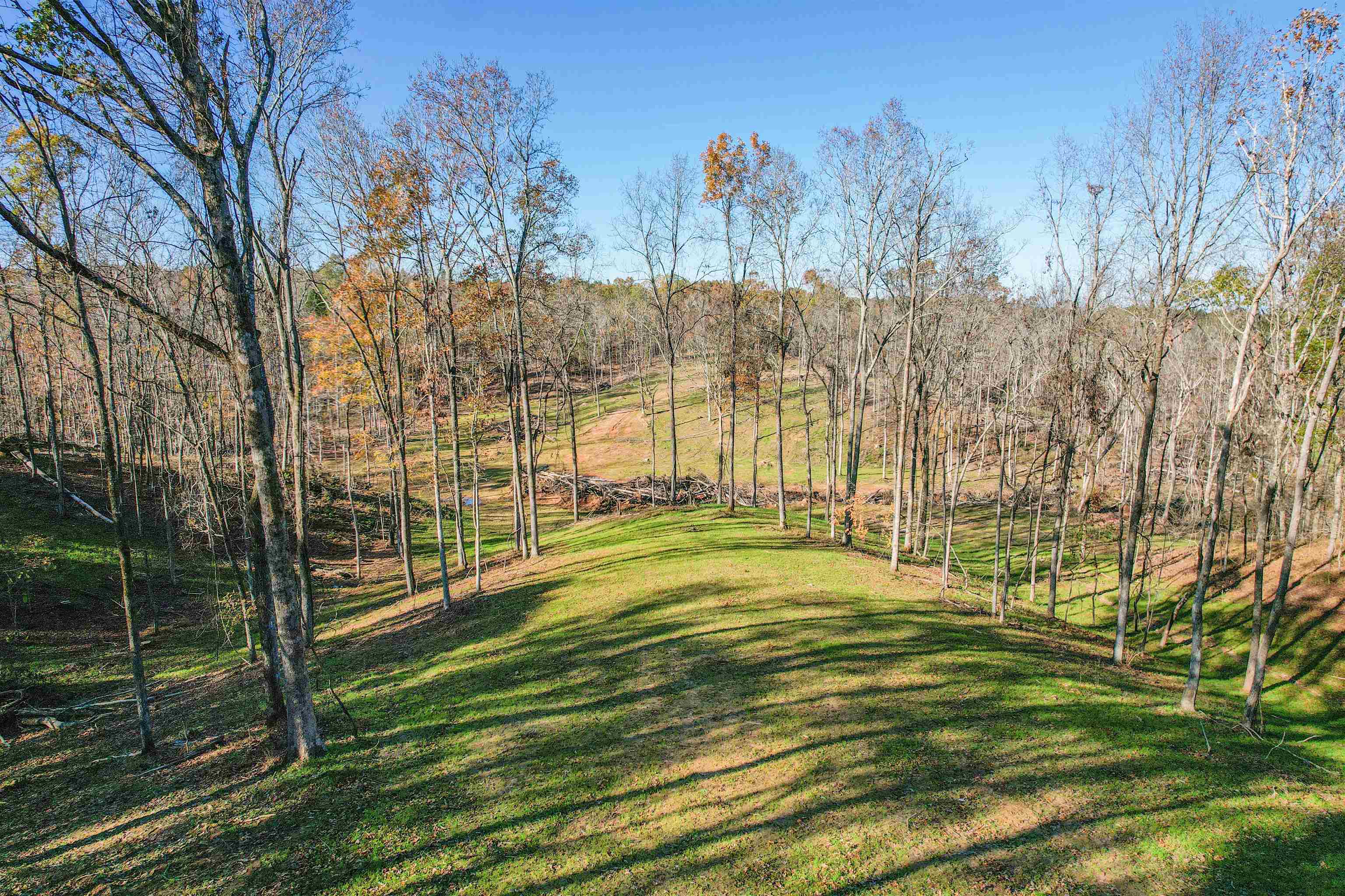 1315 Bishop Road Middleton, TN 38052 - Photo 25 of 31 View of yard