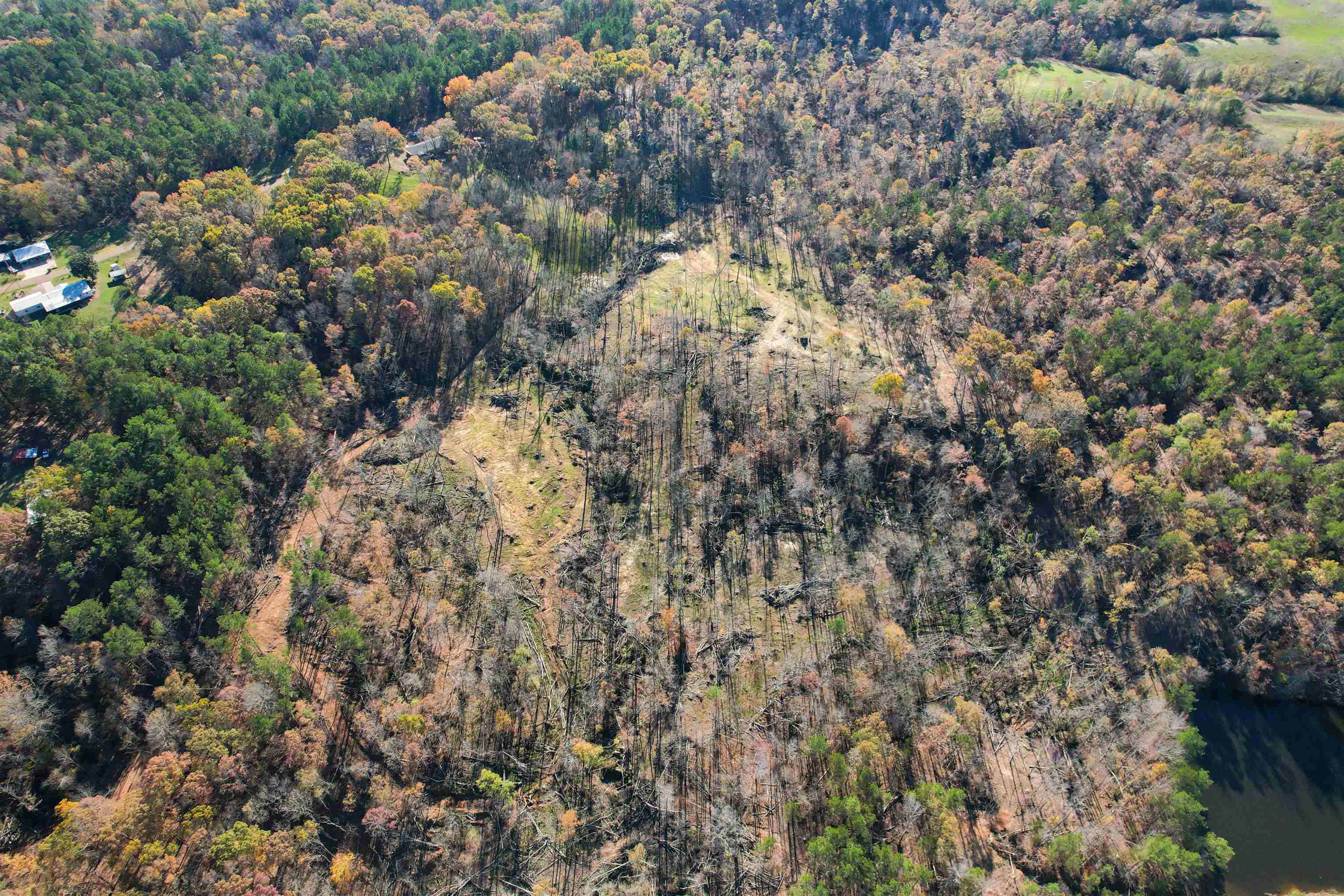 1315 Bishop Road Middleton, TN 38052 - Photo 29 of 31 Aerial view