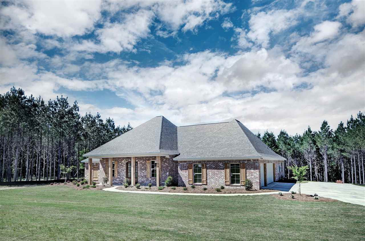 1005 Limerick Lane Brandon, MS 39047 - Photo 1 of 3 Photo 1