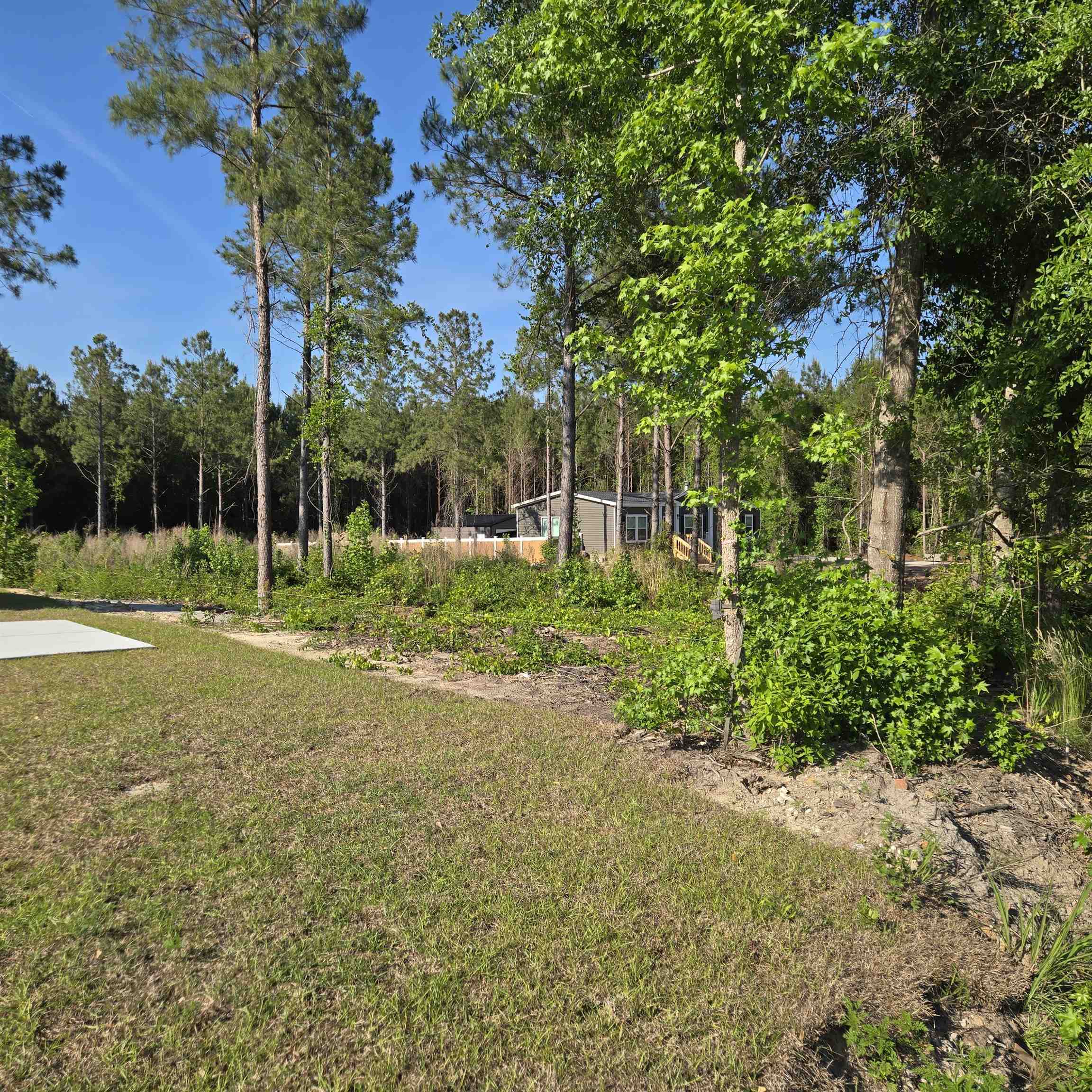 1513 Oak Dale Road Loris, SC 29569 - Photo 4 of 6 Gallery Image 4