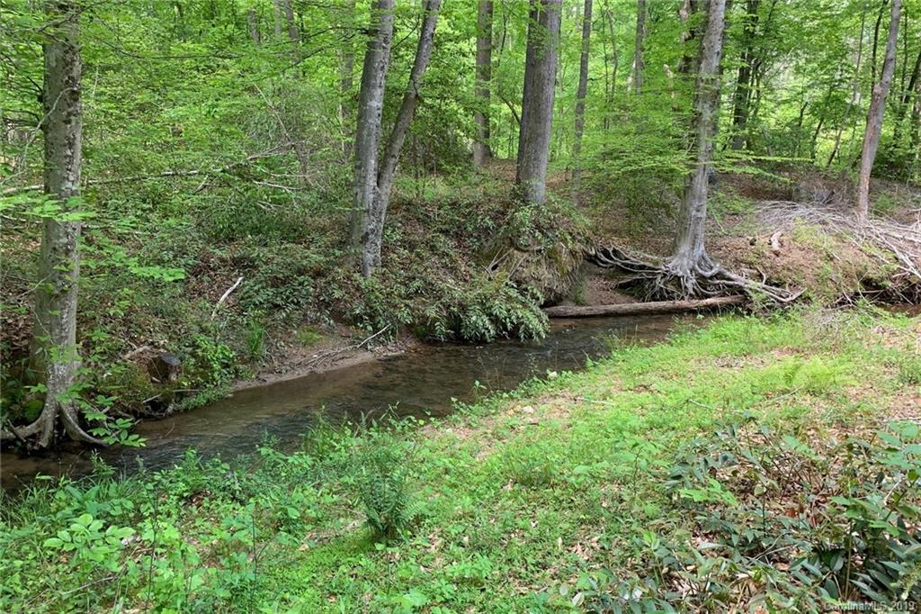 1325 McEntire Road Tryon, NC 28782 - Photo 34 of 38