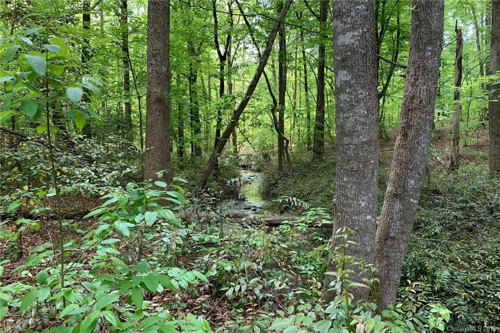 1325 McEntire Road Tryon, NC 28782 - Photo 35 of 38
