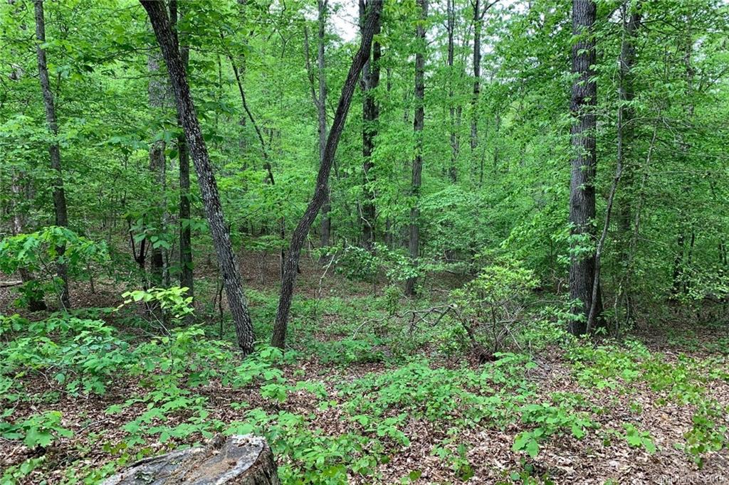 1325 McEntire Road Tryon, NC 28782 - Photo 37 of 38