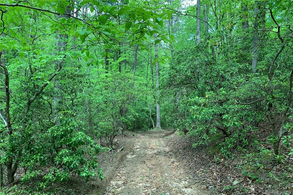 1325 McEntire Road Tryon, NC 28782 - Photo 38 of 38