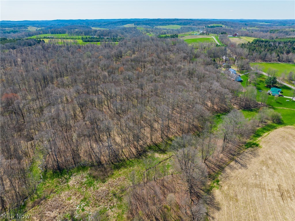 9050 Freeman Road Lisbon, OH 44432 - Photo 45 of 50