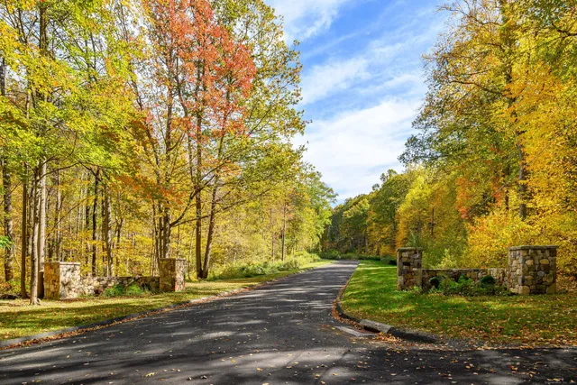 a view of a yard with large trees