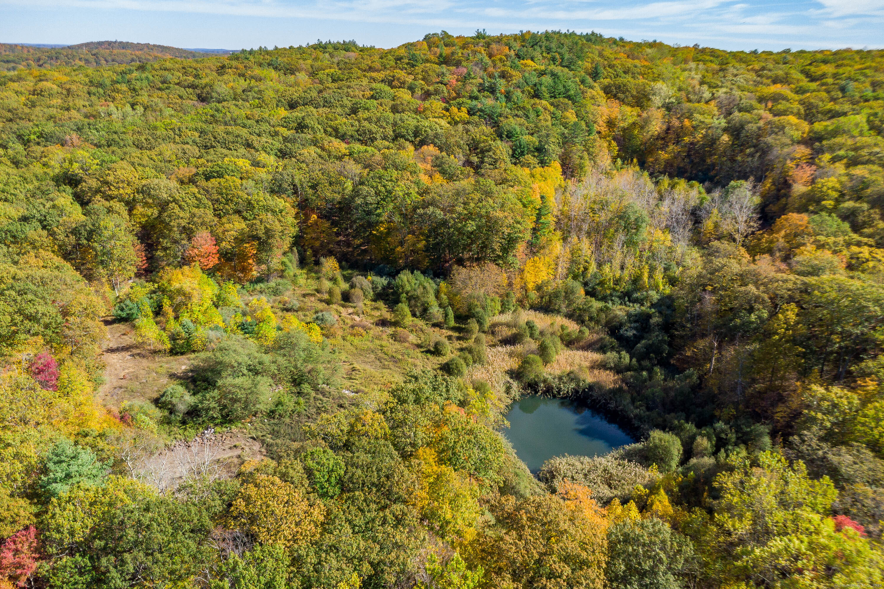 Ives Court Ridgefield, CT 06877 - Photo 11 of 14 a view of a yard