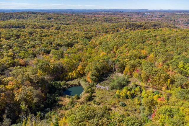 a view of a city with lush green forest