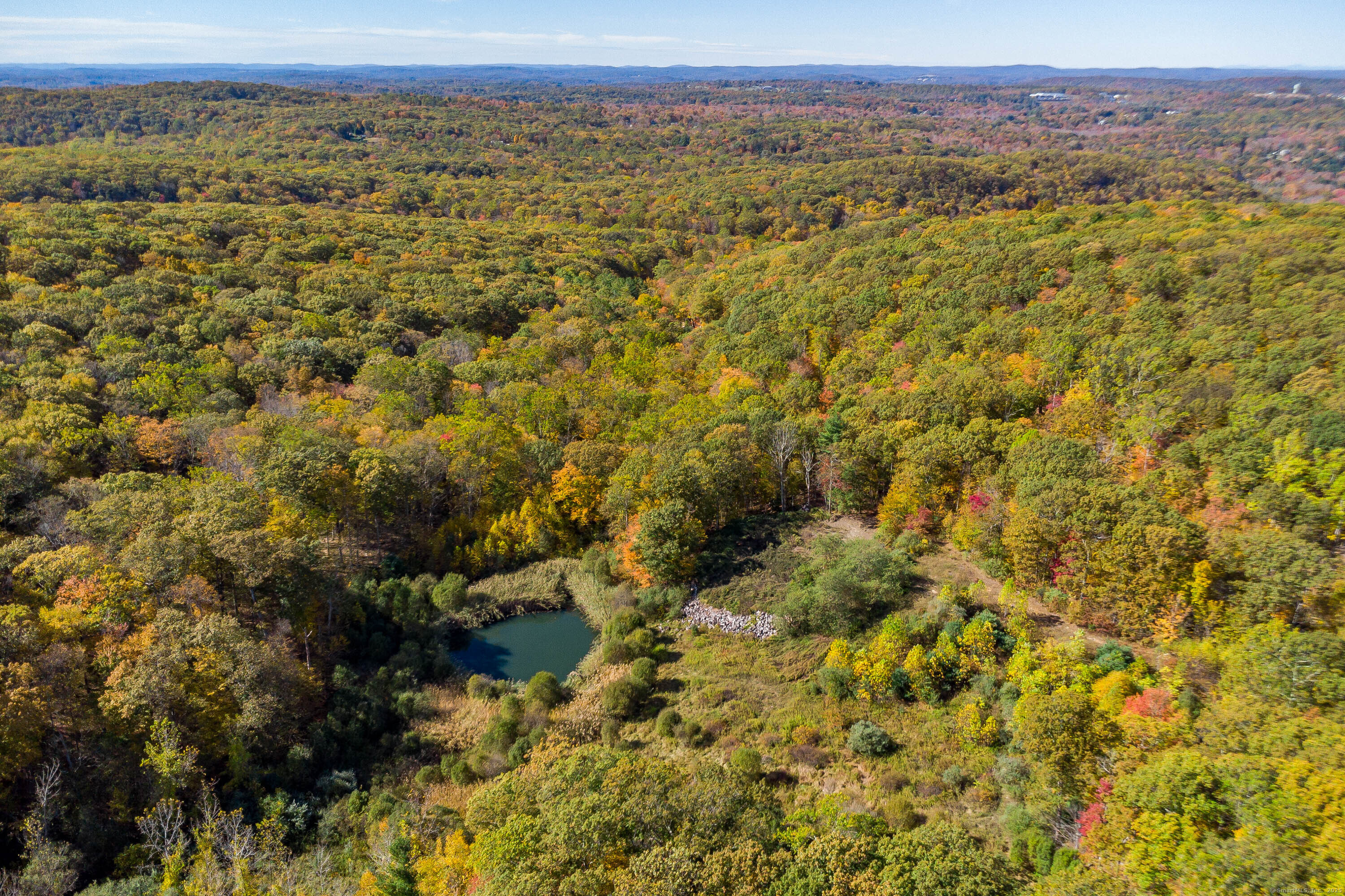 Ives Court Ridgefield, CT 06877 - Photo 12 of 14 a view of a city with lush green forest