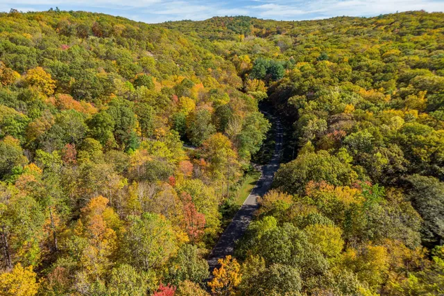 a view of a large yard with tall trees