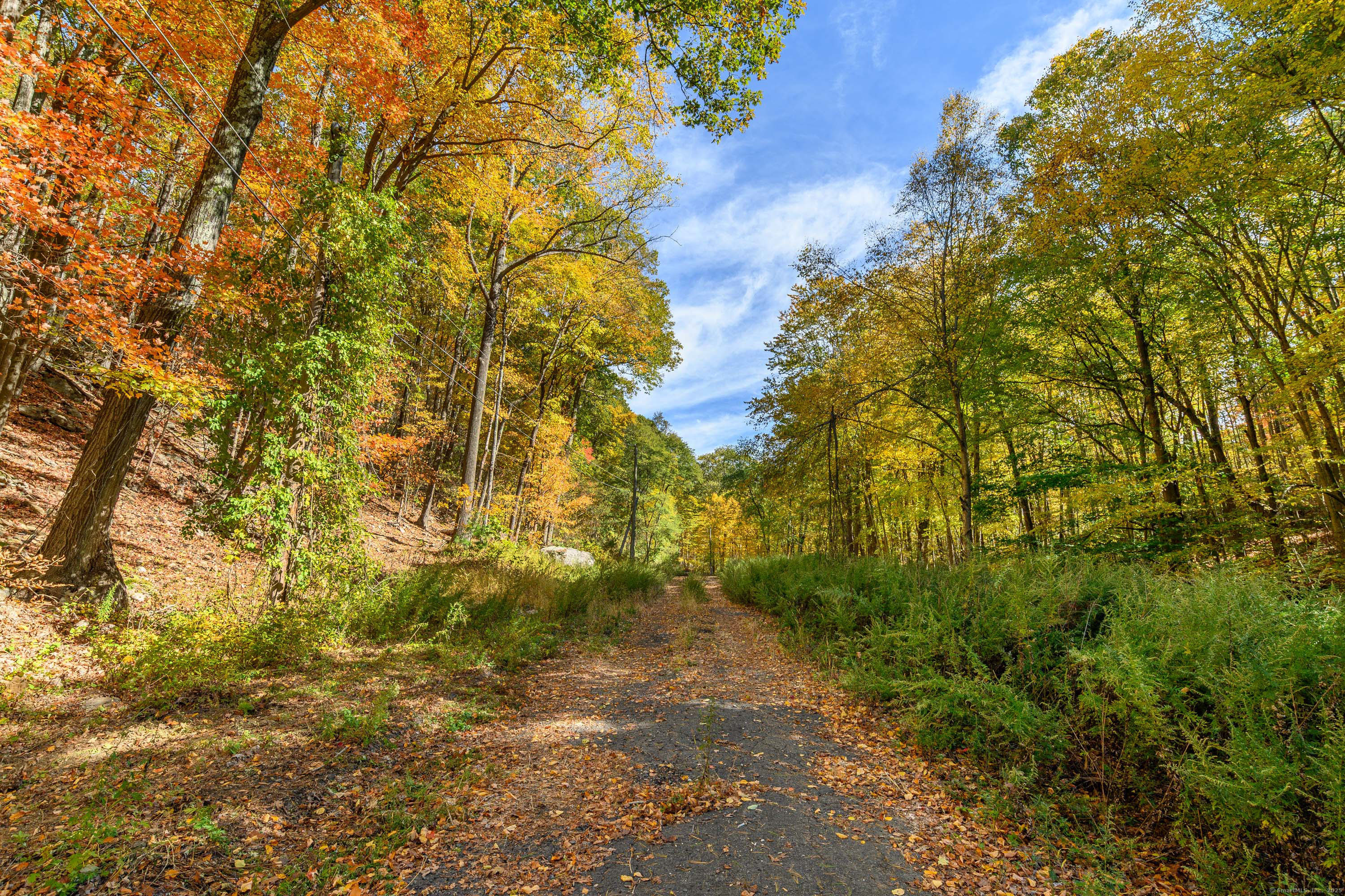 Ives Court Ridgefield, CT 06877 - Photo 3 of 14 a view of a yard