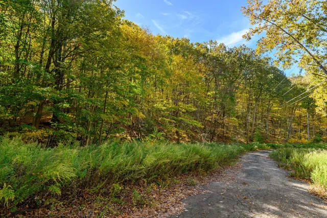 a view of a large yard with lots of green space