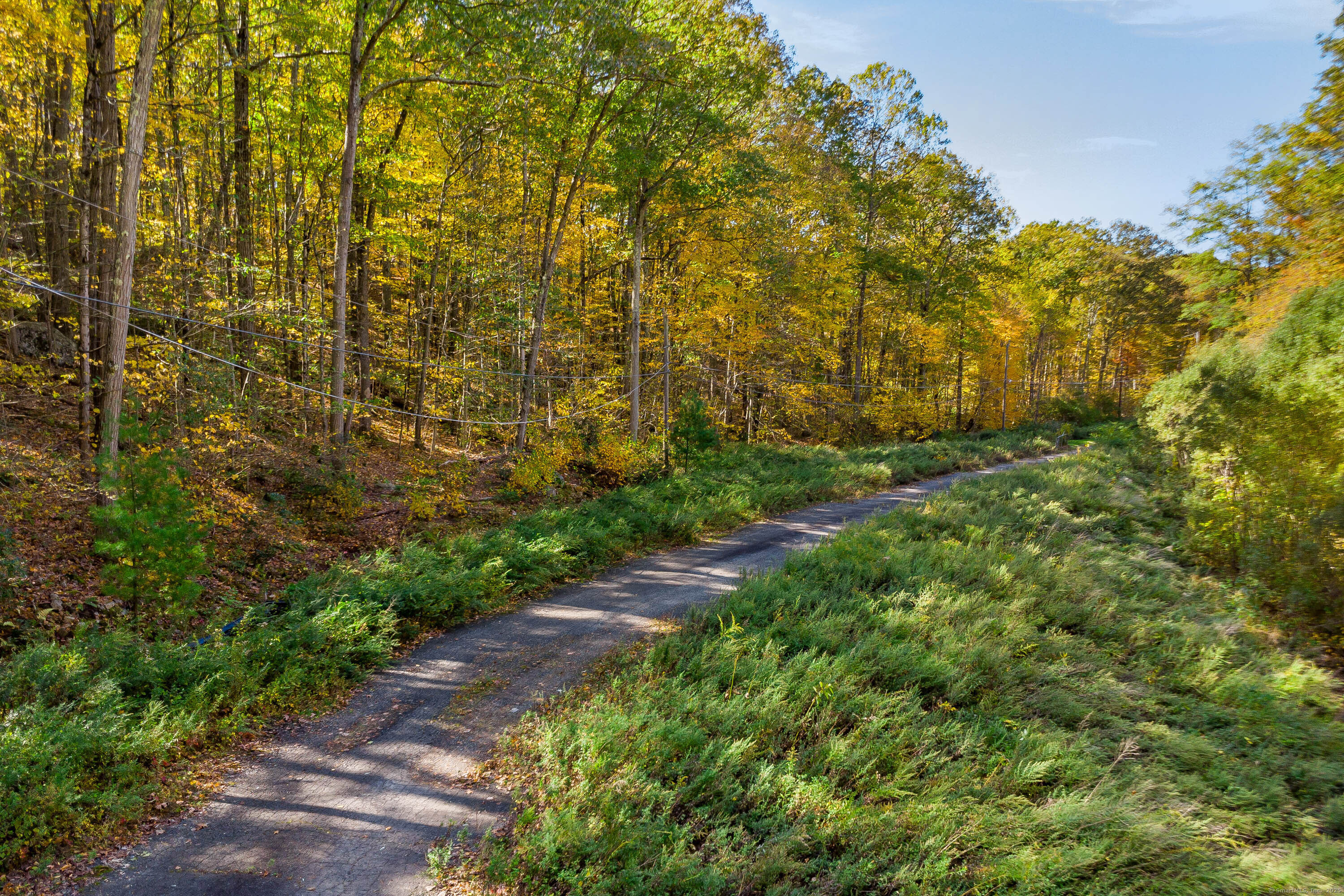 Ives Court Ridgefield, CT 06877 - Photo 5 of 14 a view of a large yard with lots of green space