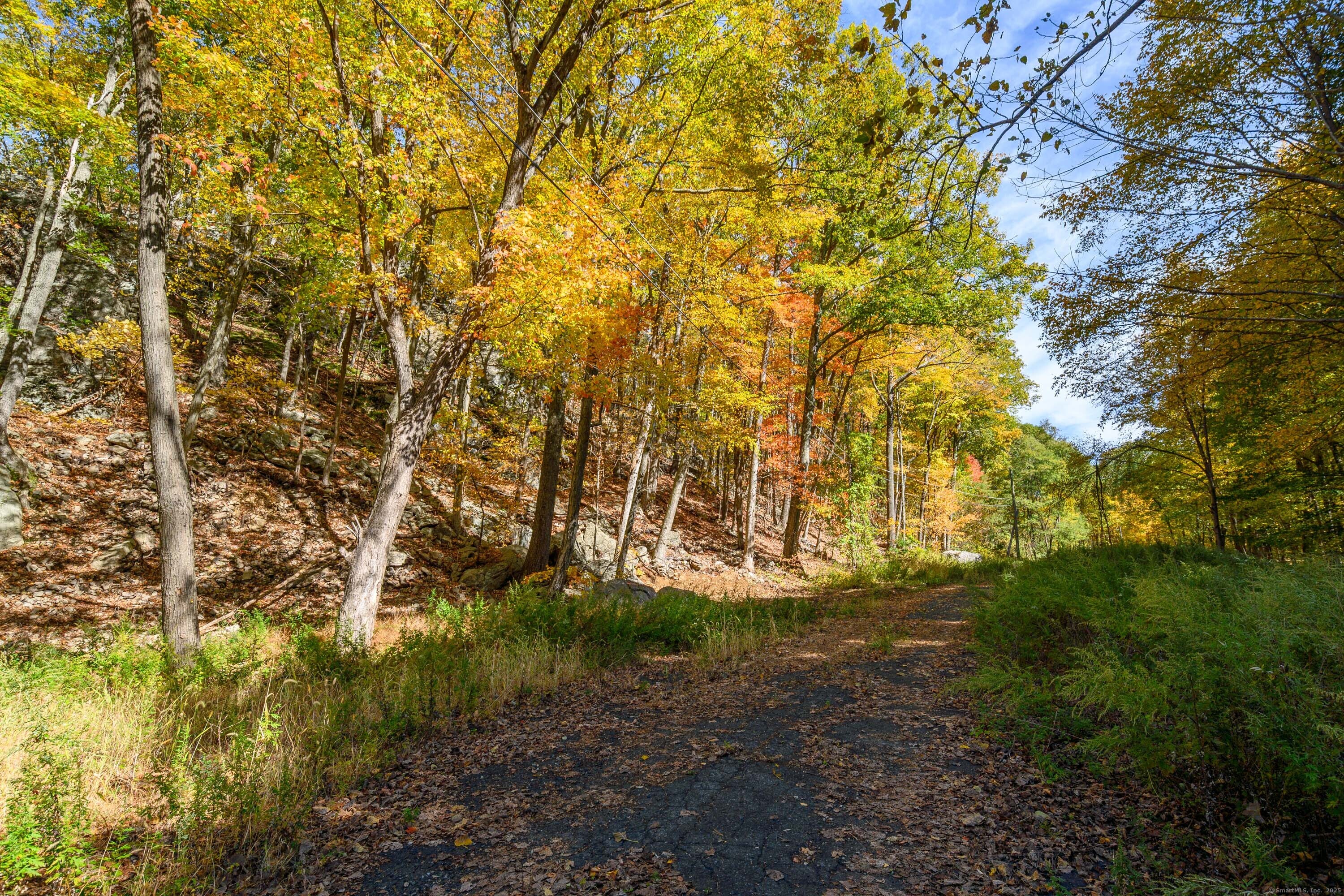 Ives Court Ridgefield, CT 06877 - Photo 6 of 14 a view of outdoor space and yard