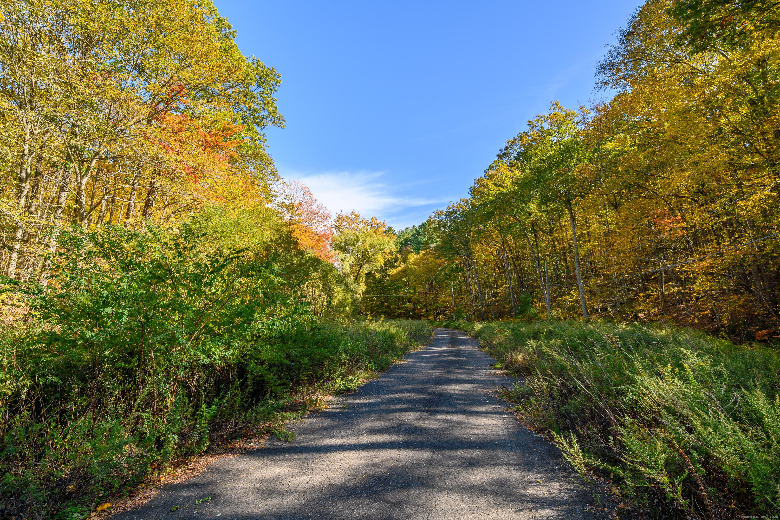 Ives Court Ridgefield, CT 06877 - Photo 7 of 14 a view of a pathway with a yard