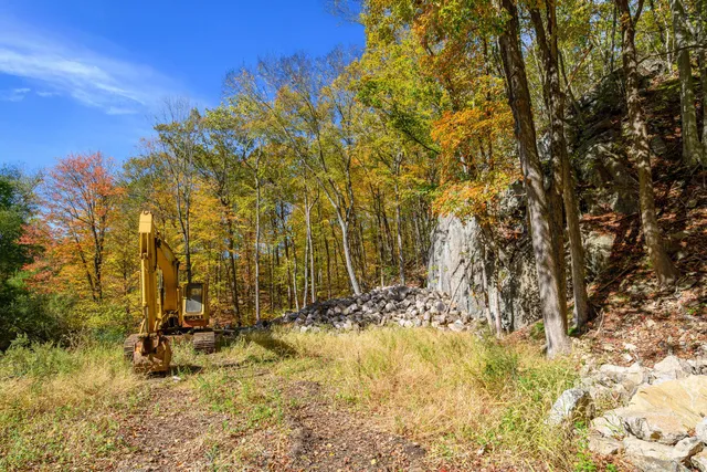 a view of a yard with large trees
