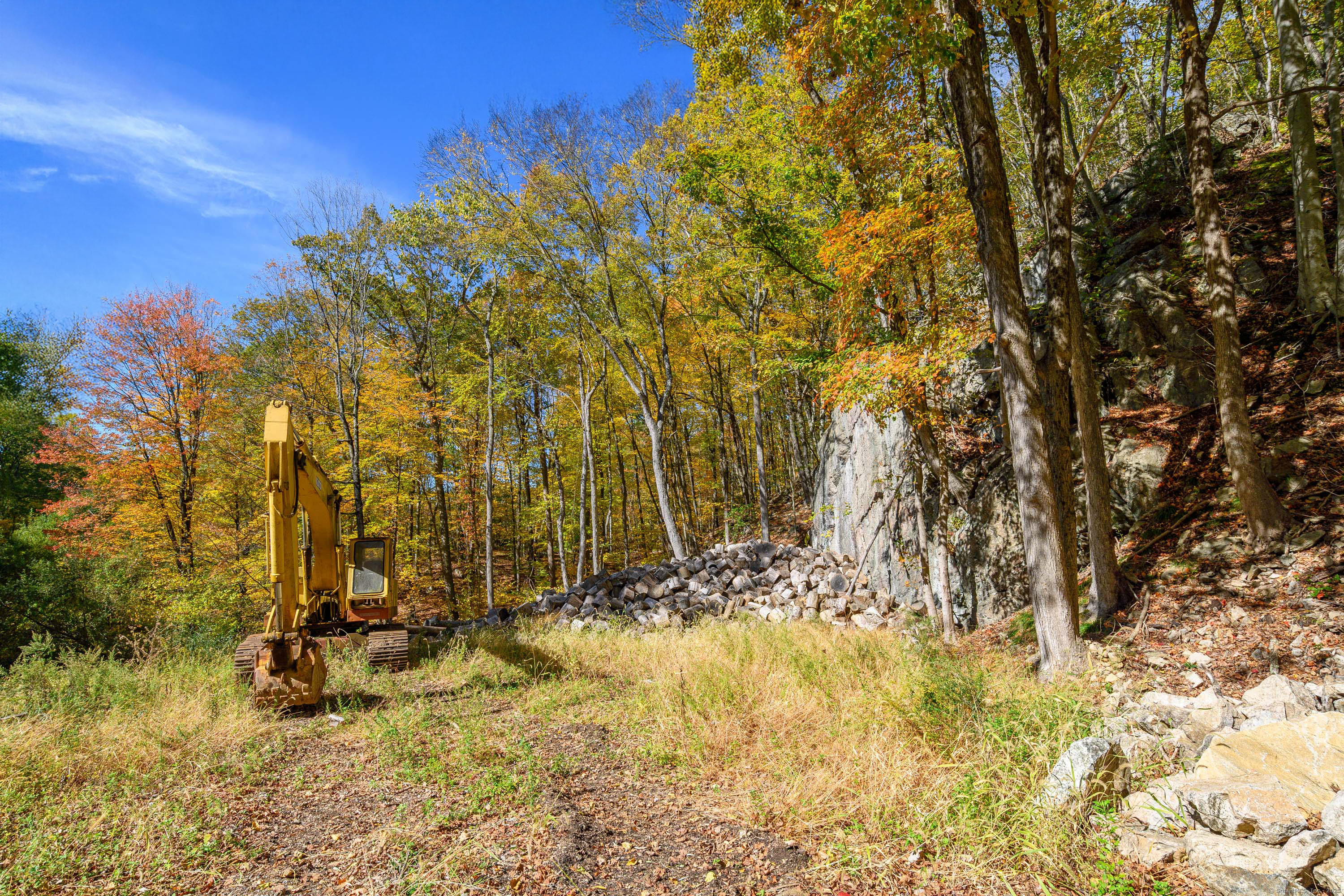 Ives Court Ridgefield, CT 06877 - Photo 8 of 14 a view of a yard with large trees