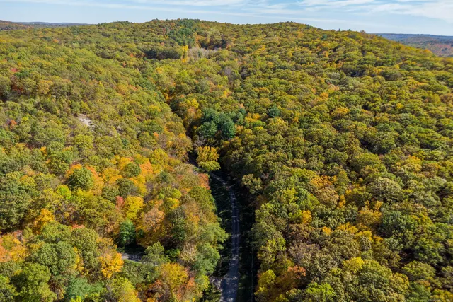 a view of a large yard with a large tree