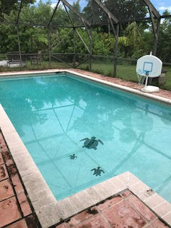 11221 Malayan Street Boca Raton, FL 33428 - Photo 18 of 19 Pool