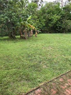 11221 Malayan Street Boca Raton, FL 33428 - Photo 19 of 19 Backyard