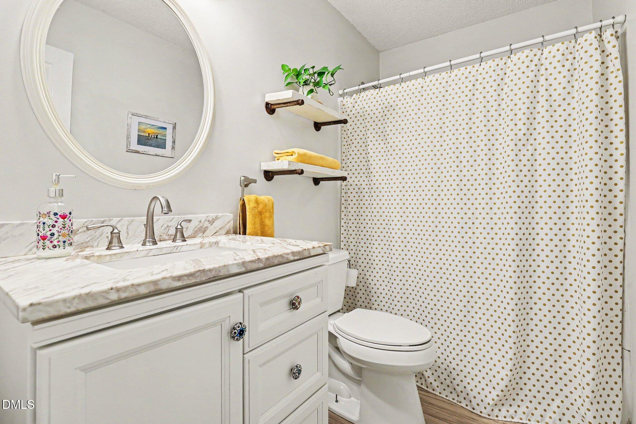 5468 Ingate Way Raleigh, NC 27613 - Photo 16 of 24 a bathroom with a granite countertop toilet sink and mirror