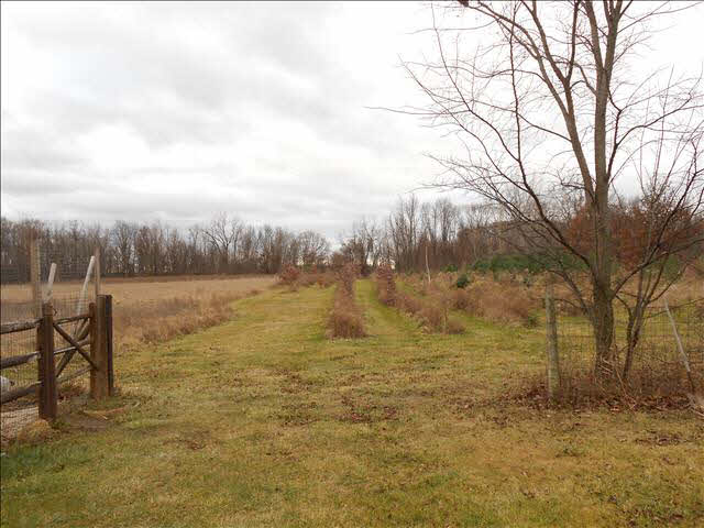 7493 Roloff Road Ottawa Lake, MI 49267 - Photo 18 of 20 Great Rural Property