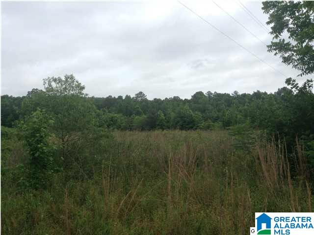 1 Slasham Road Ashville, AL 35953 - Photo 2 of 3