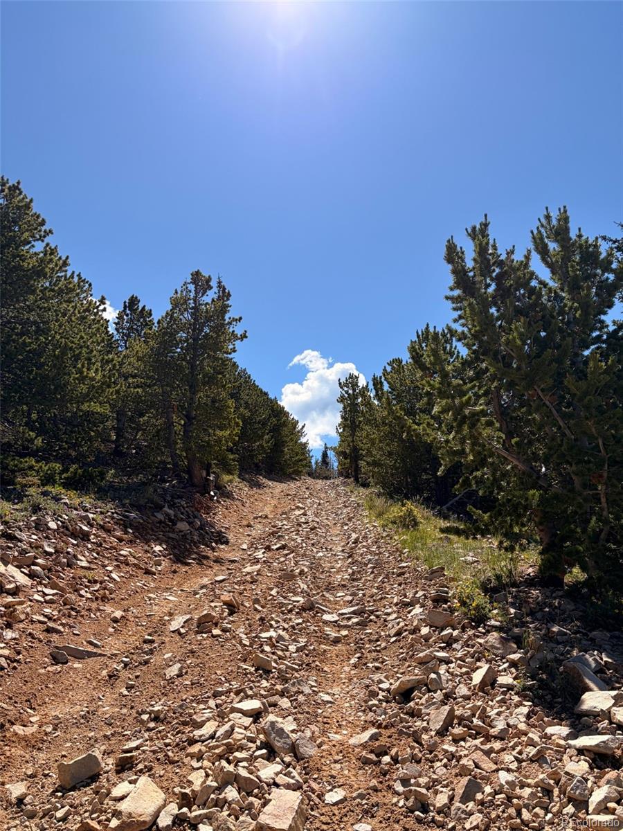 1 Apex Black Hawk, CO 80422 - Photo 12 of 38