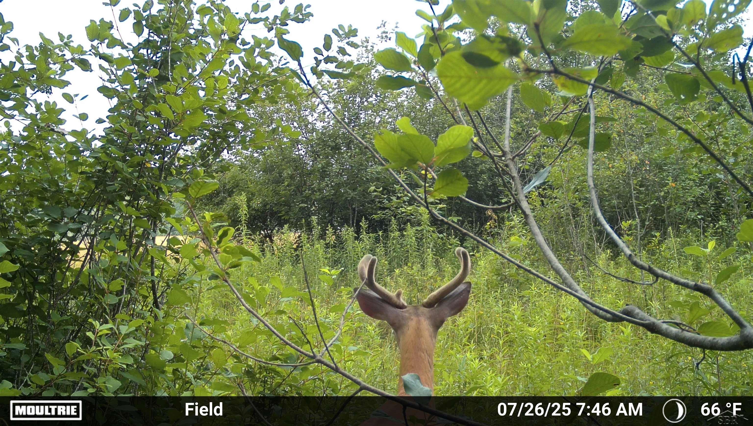 296 West Gordonville Road Midland, MI 48640 - Photo 28 of 33 Gallery Image 28
