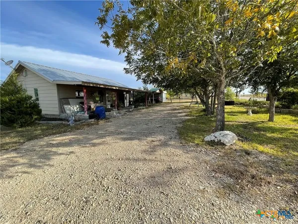 a view of a yard with plants and trees