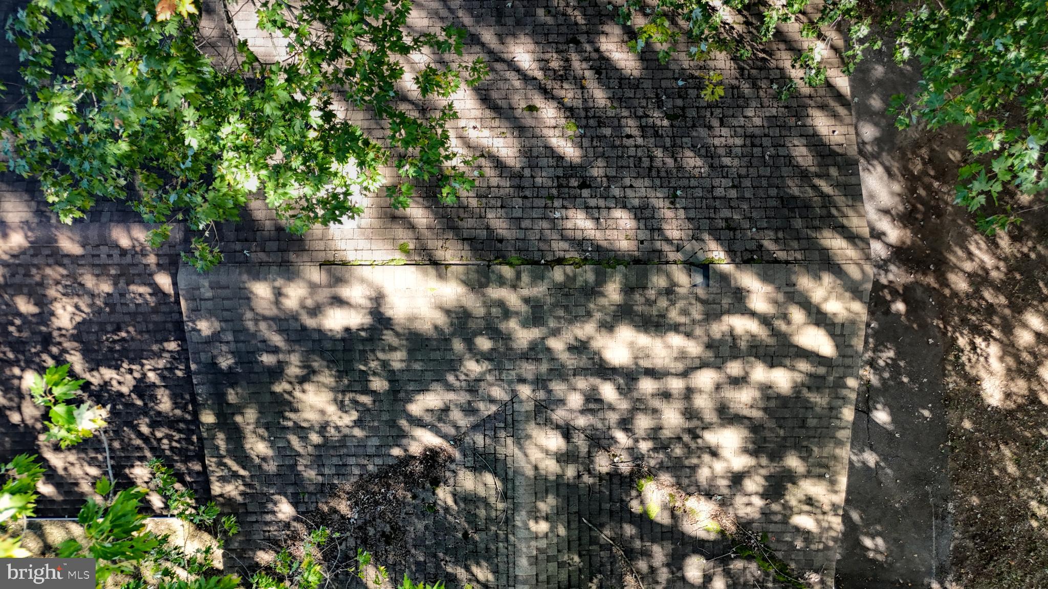 299 Richard Bassett Road Dover, DE 19904 - Photo 43 of 47