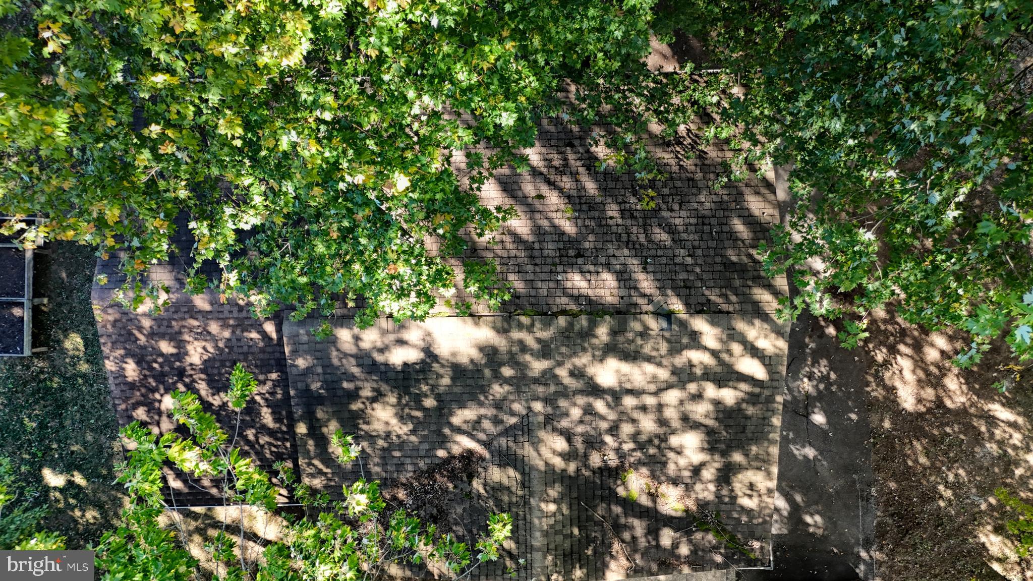 299 Richard Bassett Road Dover, DE 19904 - Photo 44 of 47