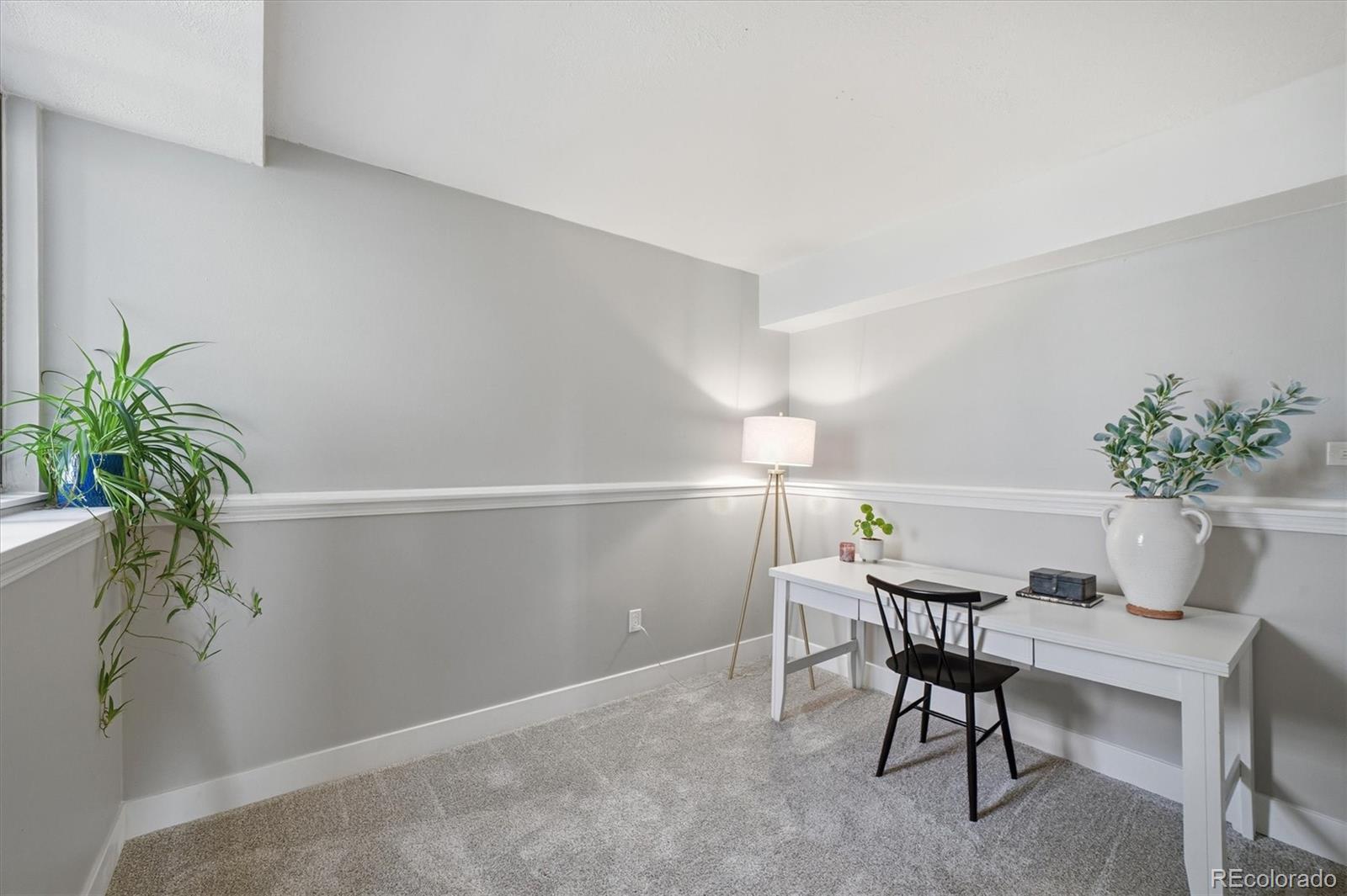 508 Longfellow Lane Highlands Ranch, CO 80126 - Photo 23 of 50 Gallery Image 23