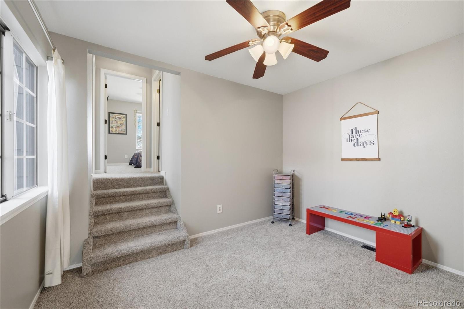 508 Longfellow Lane Highlands Ranch, CO 80126 - Photo 31 of 50 Gallery Image 31