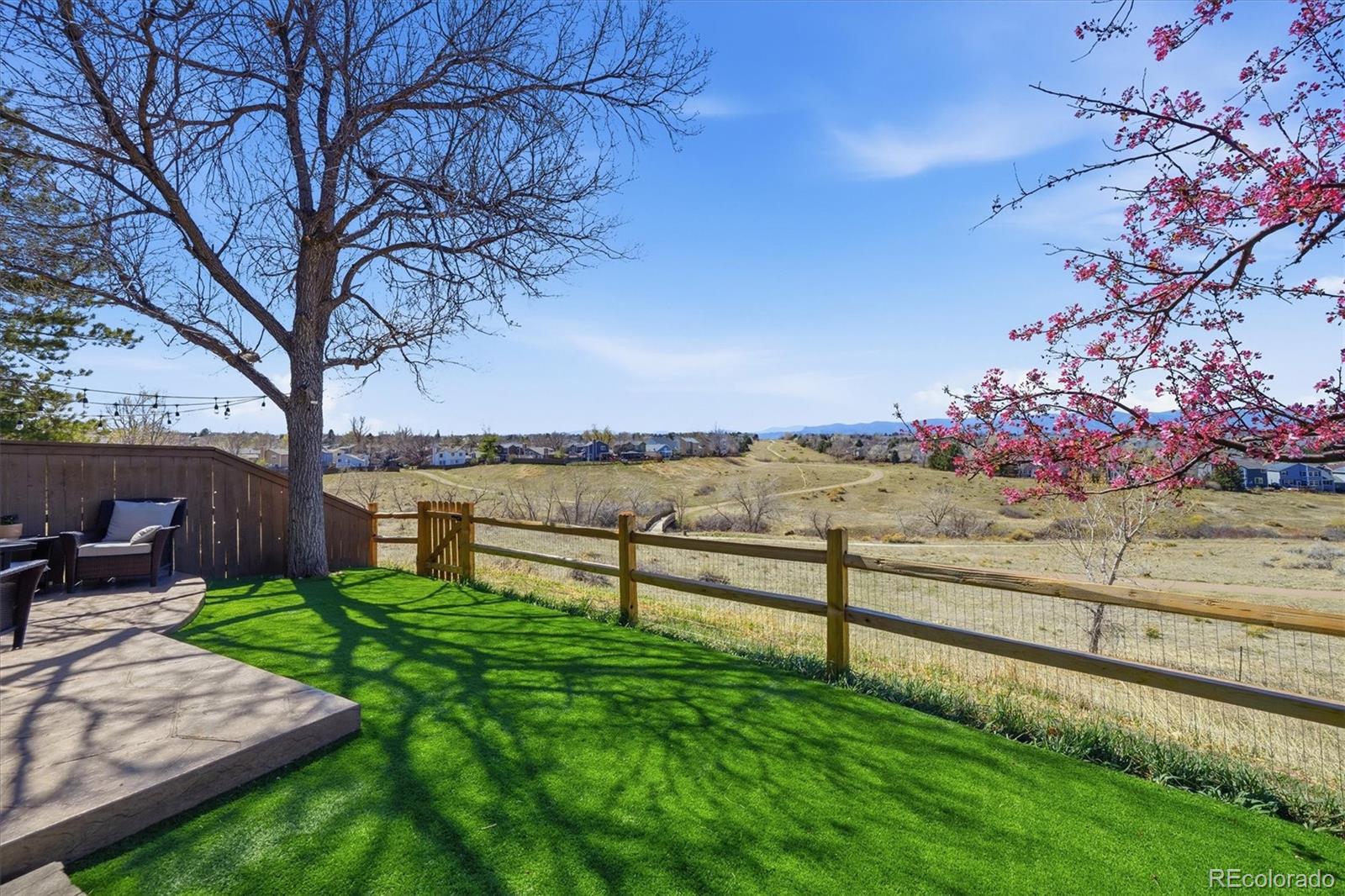 508 Longfellow Lane Highlands Ranch, CO 80126 - Photo 41 of 50 Gallery Image 41