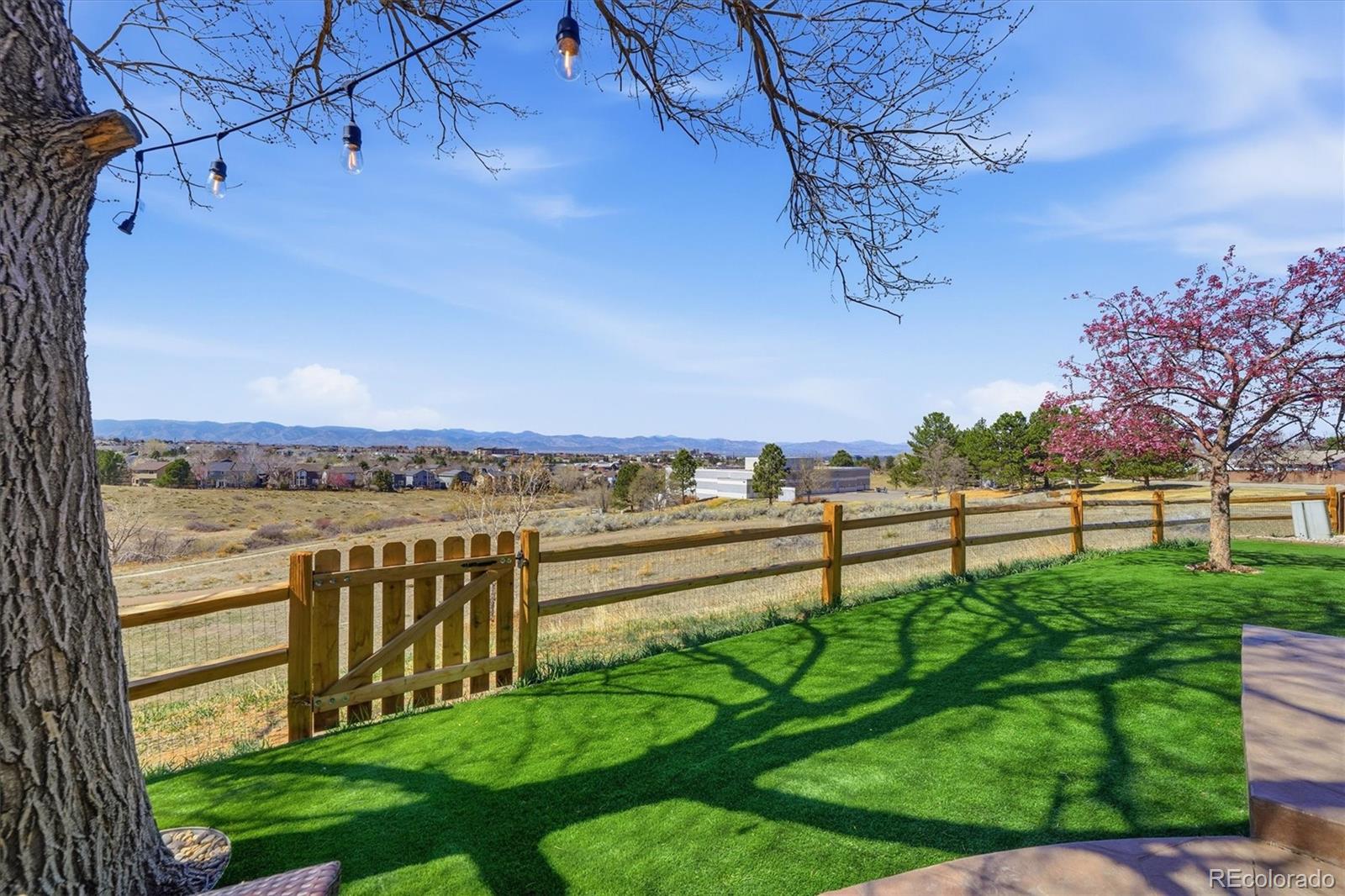 508 Longfellow Lane Highlands Ranch, CO 80126 - Photo 42 of 50 Gallery Image 42