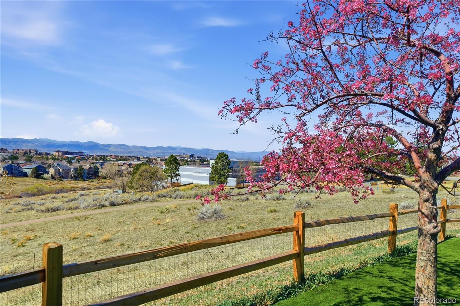 508 Longfellow Lane Highlands Ranch, CO 80126 - Photo 43 of 50 Gallery Image 43