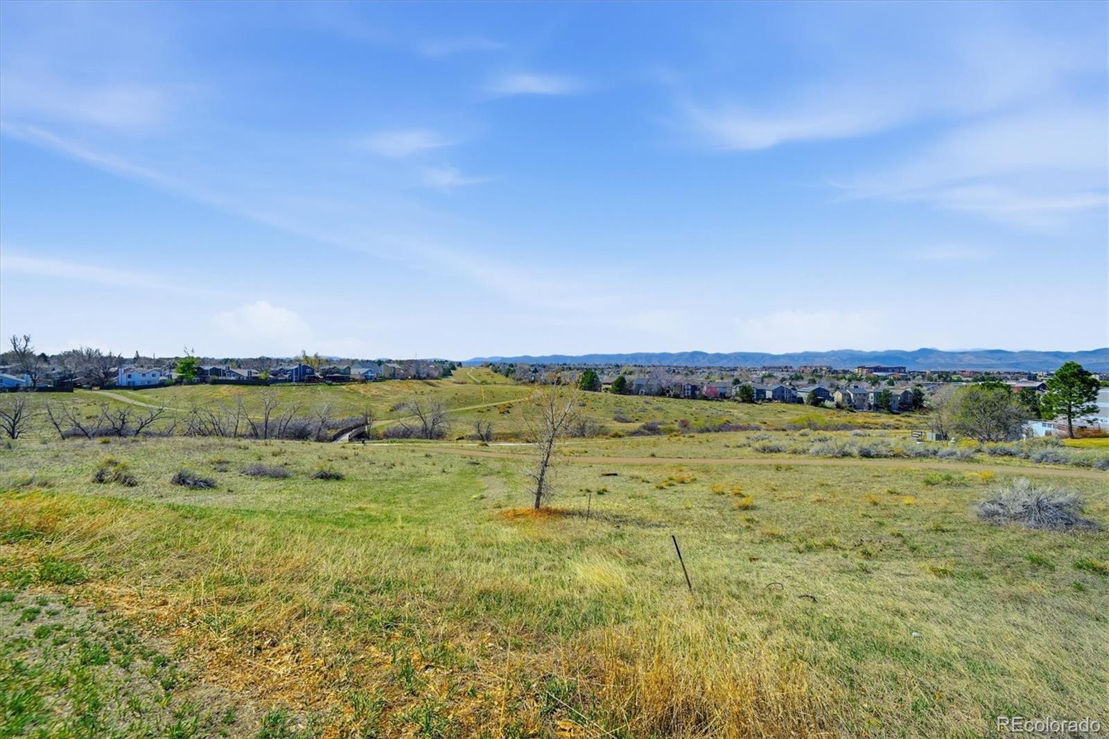 508 Longfellow Lane Highlands Ranch, CO 80126 - Photo 47 of 50 Gallery Image 47