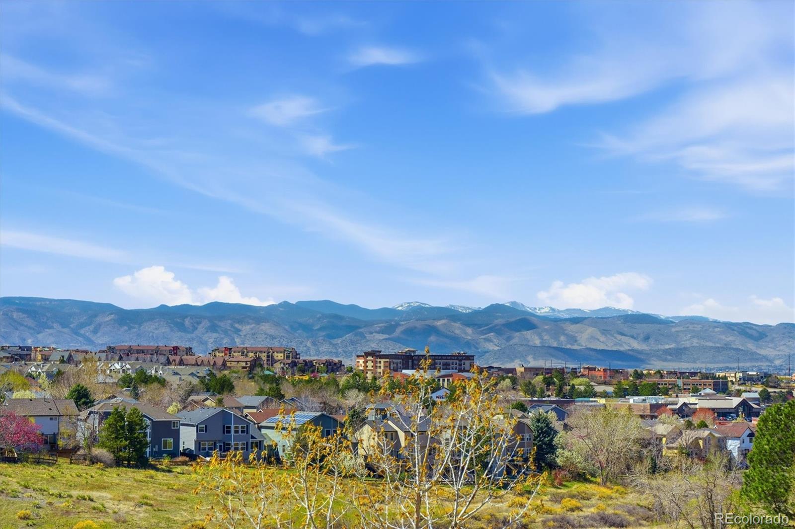 508 Longfellow Lane Highlands Ranch, CO 80126 - Photo 48 of 50 Gallery Image 48