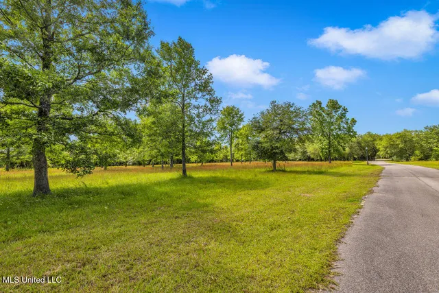 $1,600,000 | 24071 Cuevas Delisle Road, Unit A), Pass Christian, MS 39571