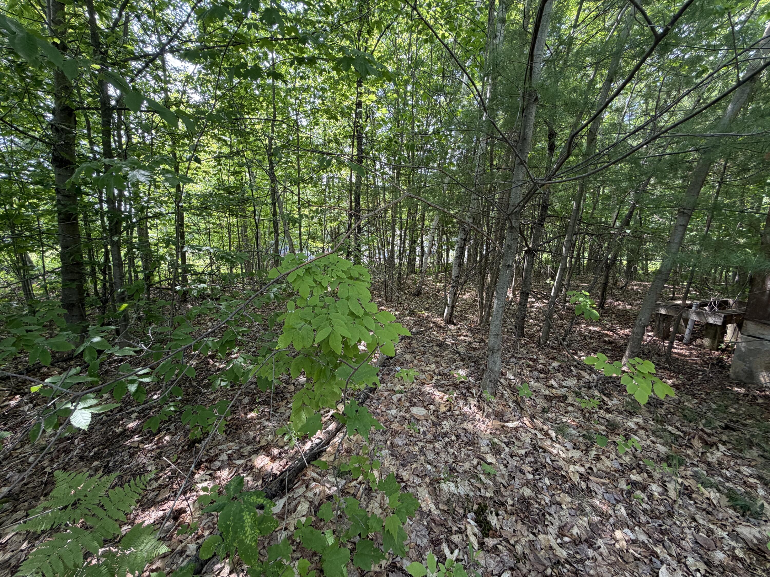444 Campground Road North Anson, ME 04958 - Photo 2 of 16