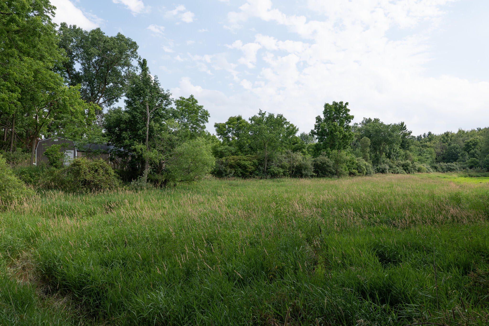 3282 Jerome Road North North Adams, MI 49262 - Photo 29 of 34 P1067873