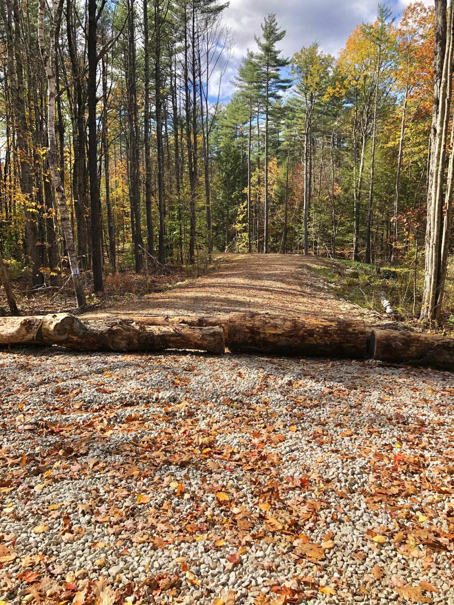 394 Sugar Hill Road Hopkinton, NH 03229 - Photo 5 of 14 Gallery Image 5