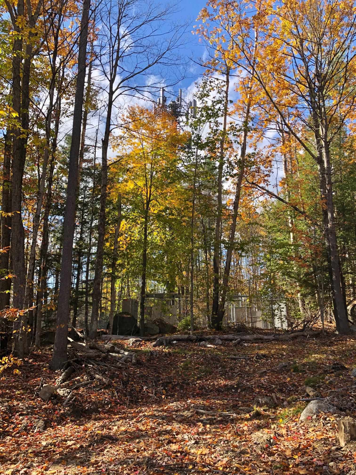 394 Sugar Hill Road Hopkinton, NH 03229 - Photo 8 of 14 Gallery Image 8
