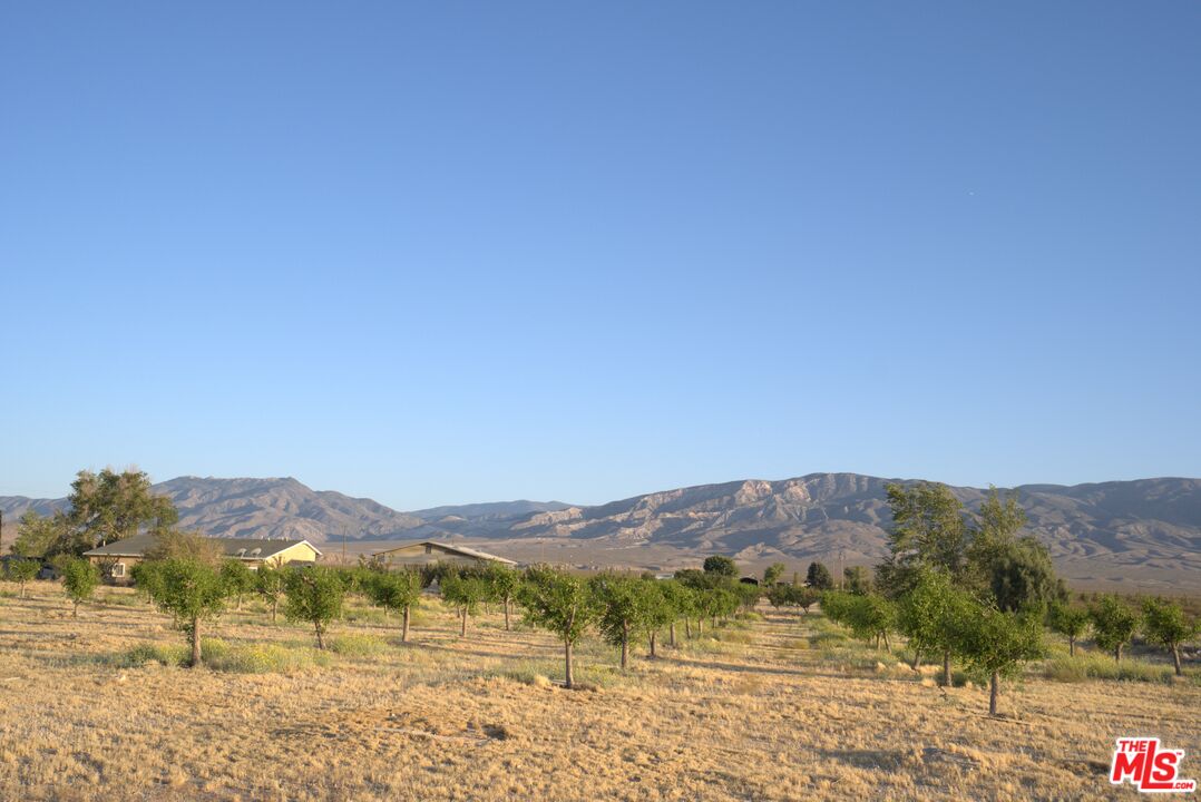 10424 Santa Fe Fire Road Lucerne Valley, CA 92356 - Photo 26 of 33