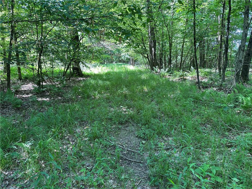 0 Cooperstown Road Cooperstown, PA 16317 - Photo 21 of 23