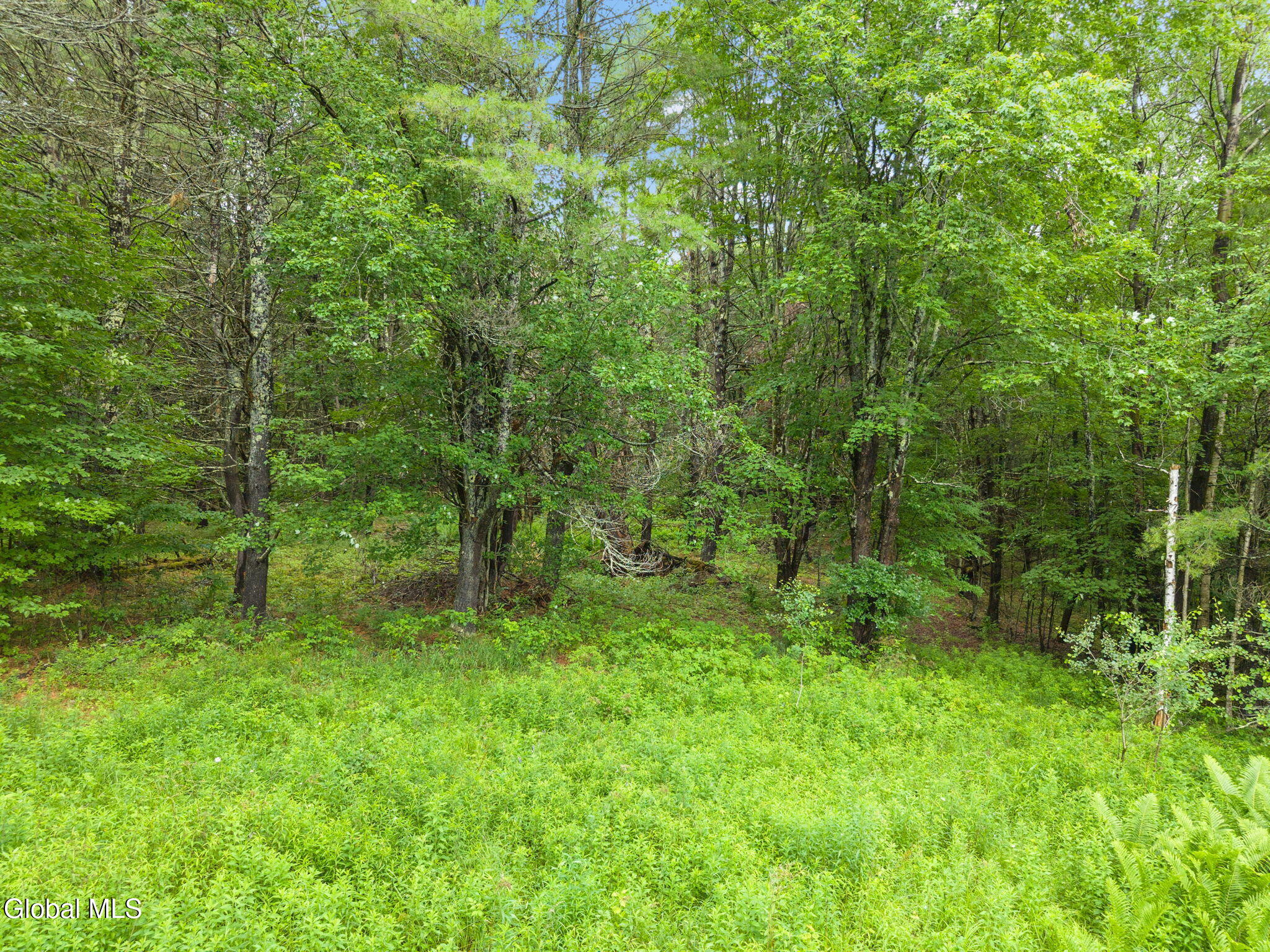 159 Ely Road Gilboa, NY 12076 - Photo 69 of 83 67-159ElyRd_67