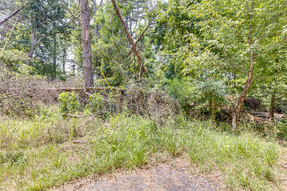 0 Tarleton Road Anderson, SC 29626 - Photo 7 of 19 Gallery Image 7
