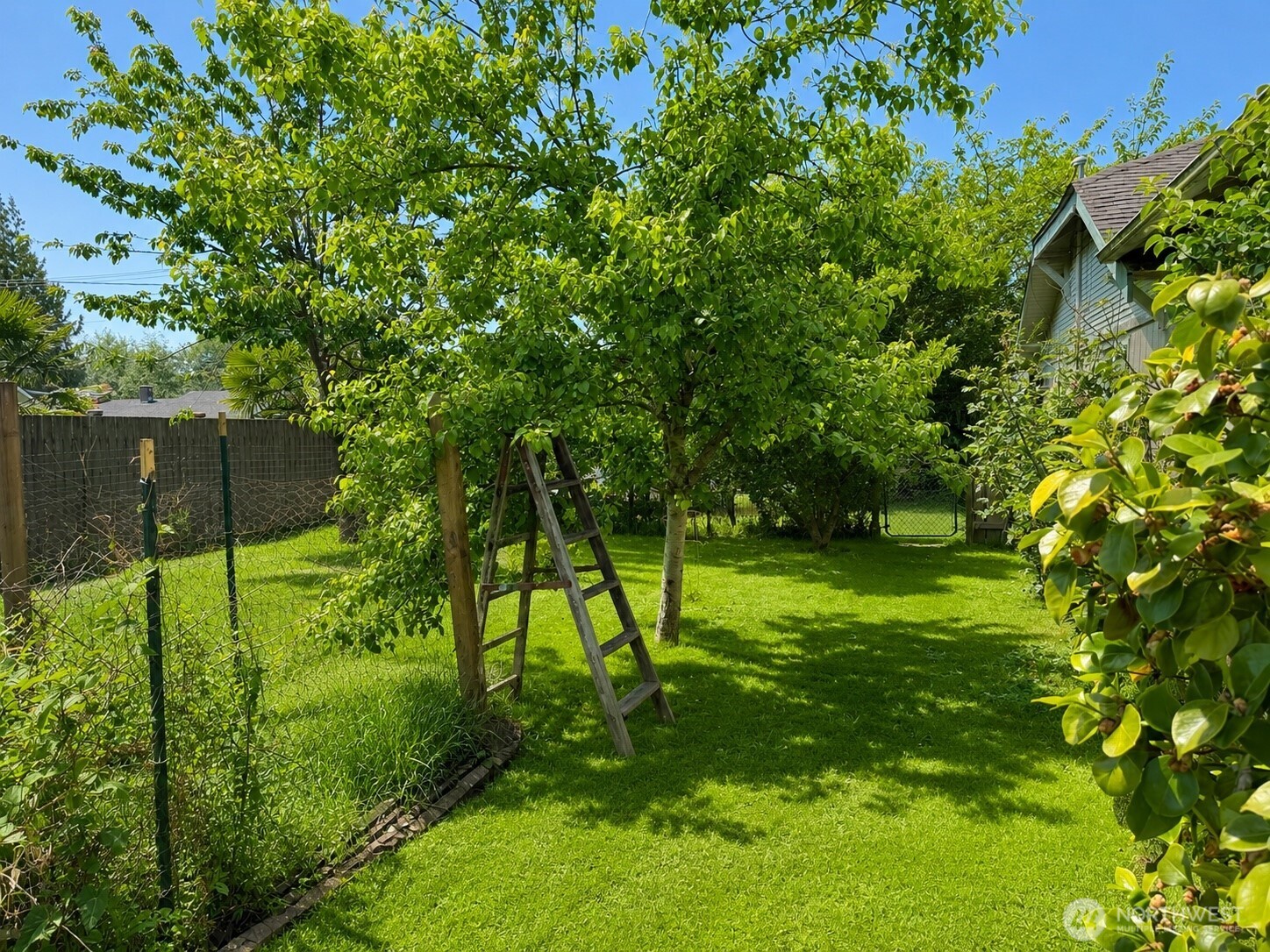 902 Harding Road Aberdeen, WA 98520 - Photo 17 of 18 a big yard with lots of green space and trees